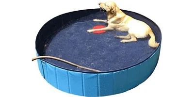 Piscina plegable para perros