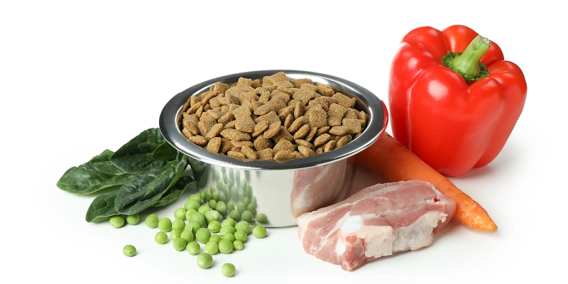 Alimentos dañinos para los perros: Alimentación para mascotas
