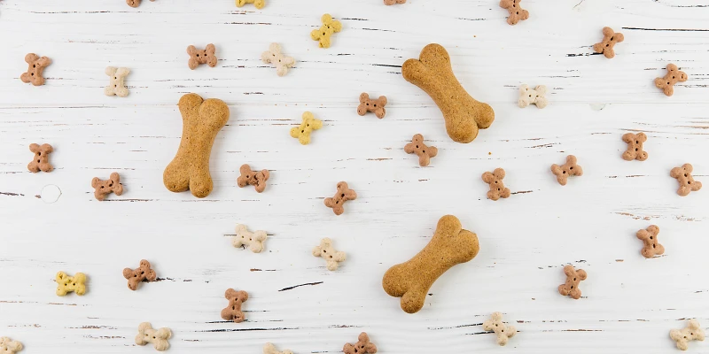 Muchas galletas para perro con forma de hueso