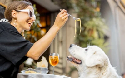 ¿Los perros pueden comer pasta?: beneficios y riesgos