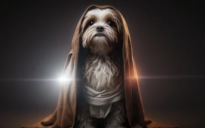 + 100 nombres para perros inspirados en Star Wars y su origen